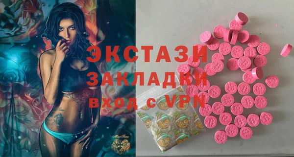 СК Алексин