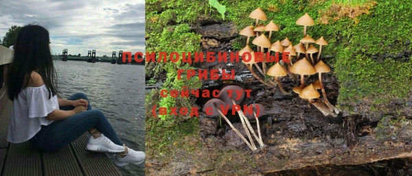 СК Алексин