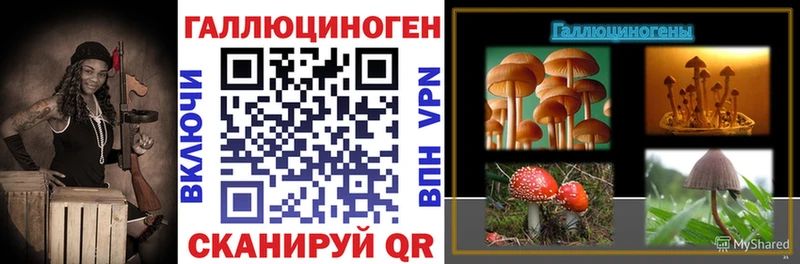 Псилоцибиновые грибы Psilocybe  Котлас 