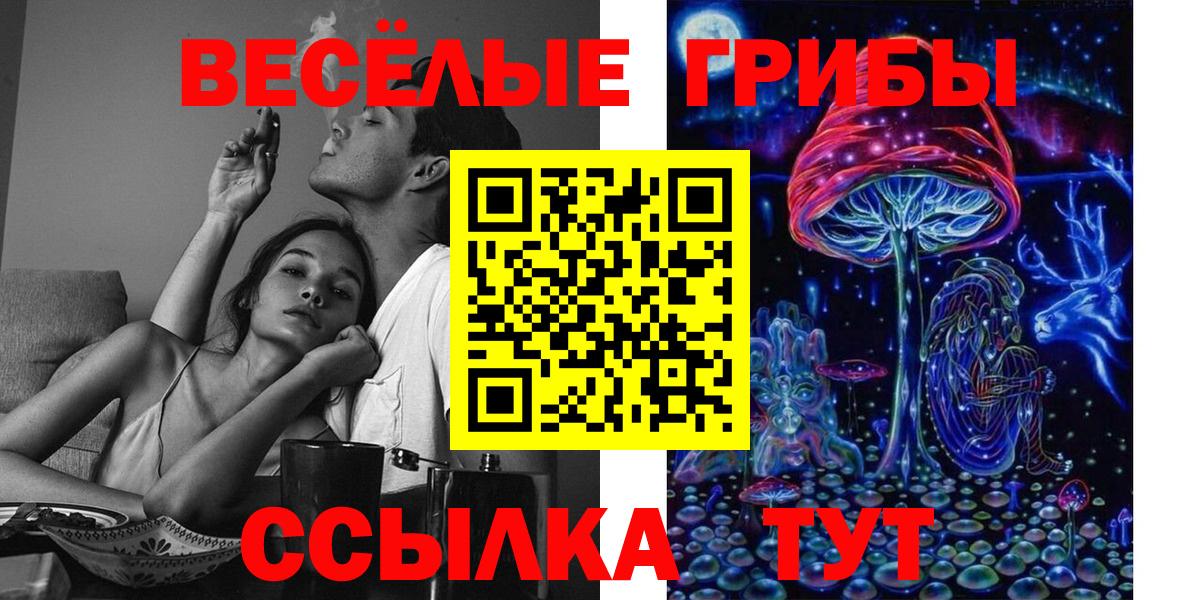 Галлюциногенные грибы мицелий Котлас